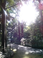 Yoyogi Park